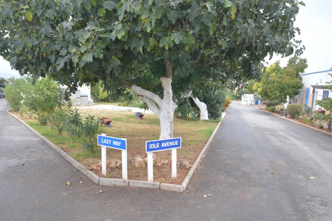 area 2